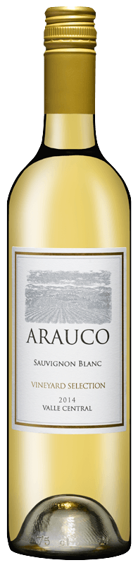 Вино Arauco  Sauvignon Blanc white   750 мл