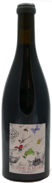 Шампанское AURORE ET FLORIAN LAVAL Сoteaux Champenois Rouge Les Copains du Bas Chêne 2020 750 мл 12%