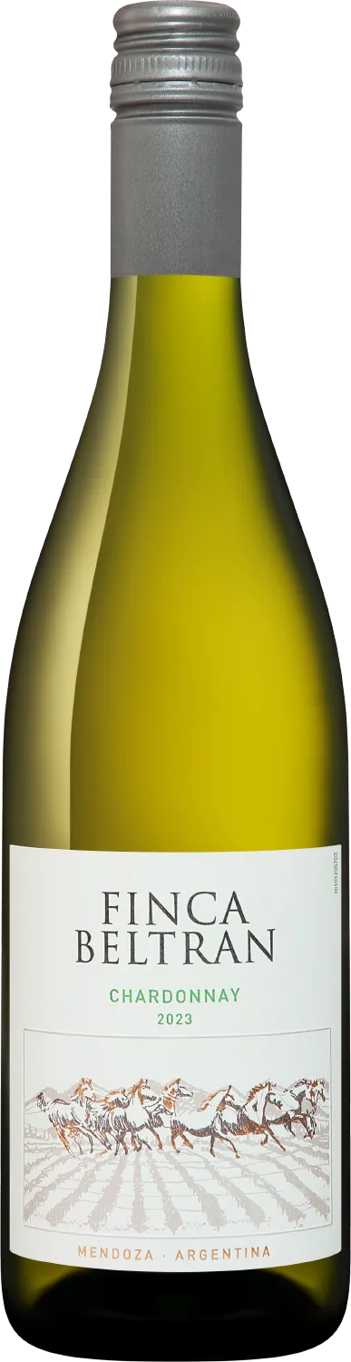 Вино  Finca Beltran Chardonnay Mendoza  2023  750 мл 14%