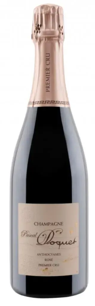 Шампанское Pascal Doquet Anthocyanes Premier Cru Extra Brut Rose 750 мл  12,5%