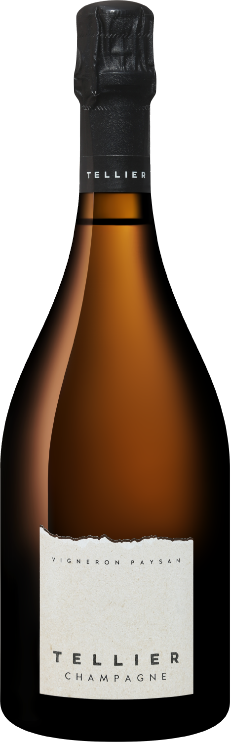 Шампанское  Champagne Tellier Experience Nature Champagne AOC Extra Brut  750 мл