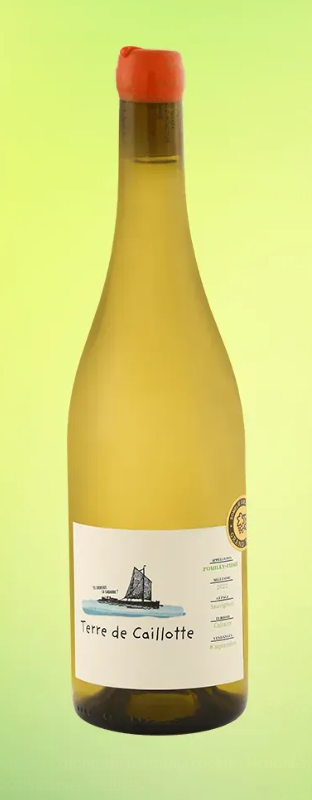 Вино Complices de Loire Terres de Caillottes Pouilly-Fume 2023 750 мл 12,5%