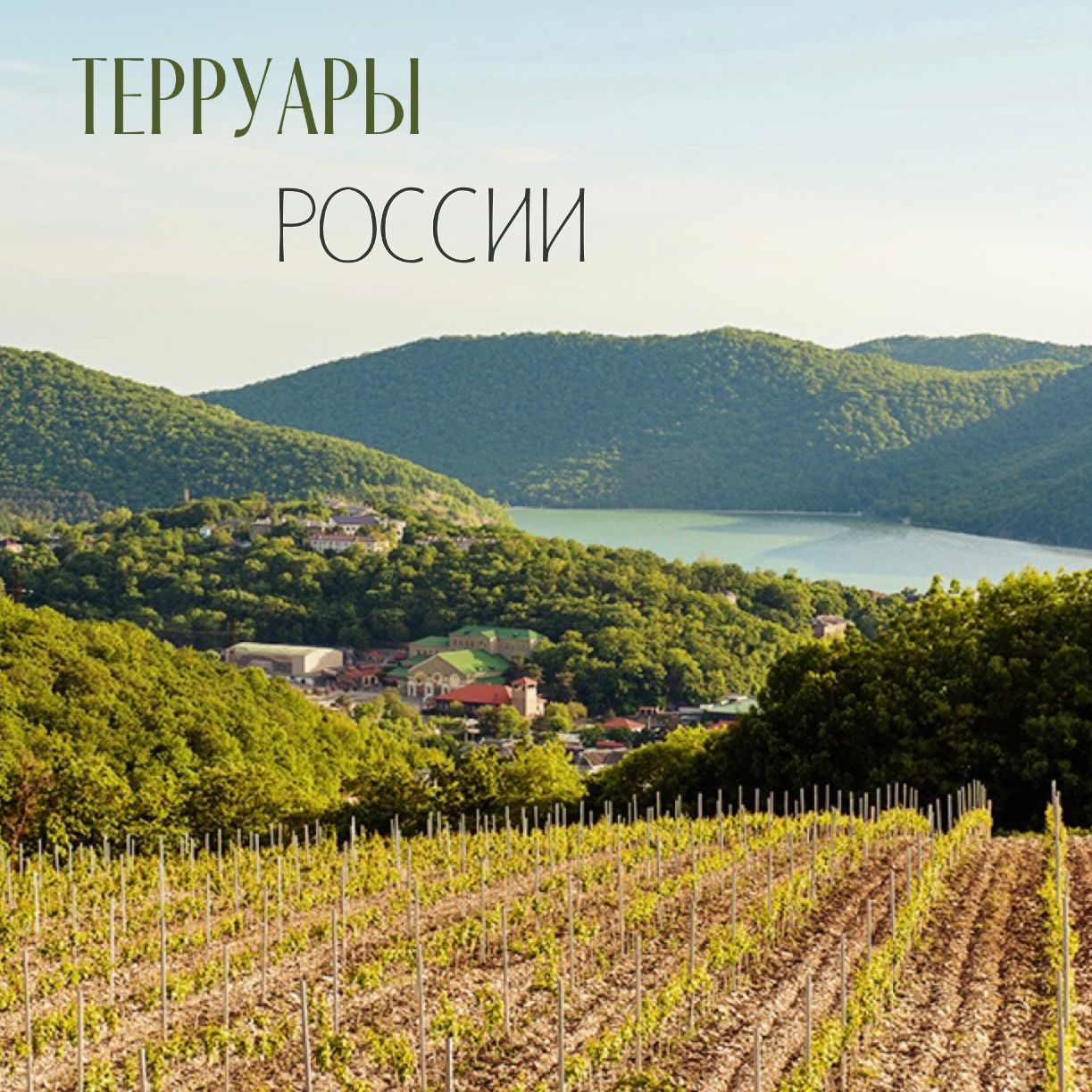 Терруары России Терруары России