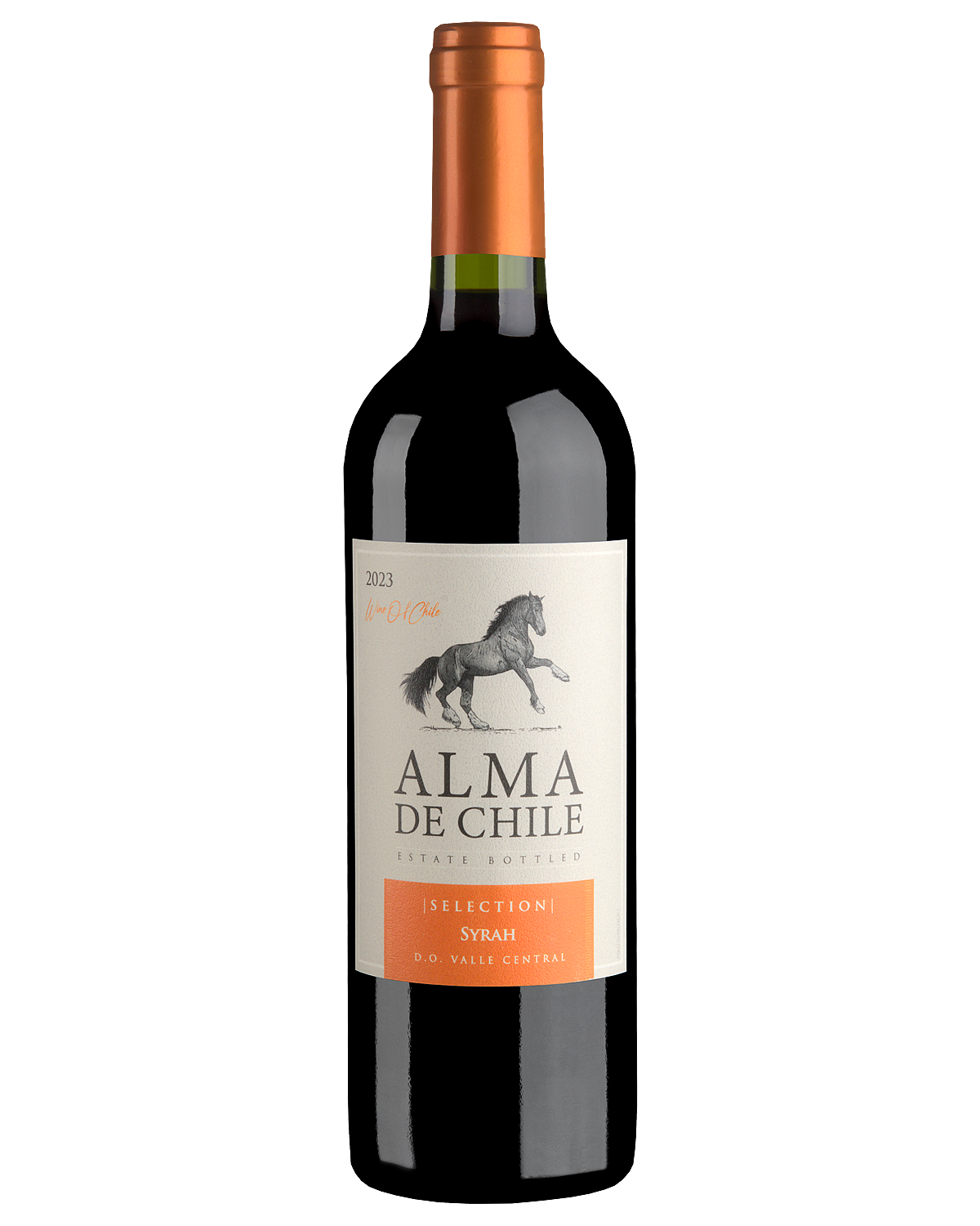 Вино Alma de Chile Syrah  2023  750 мл