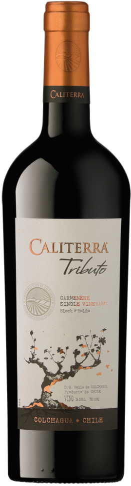 Вино Carmenere Tributo  DO Трибуто  Карменере 2017 750 мл