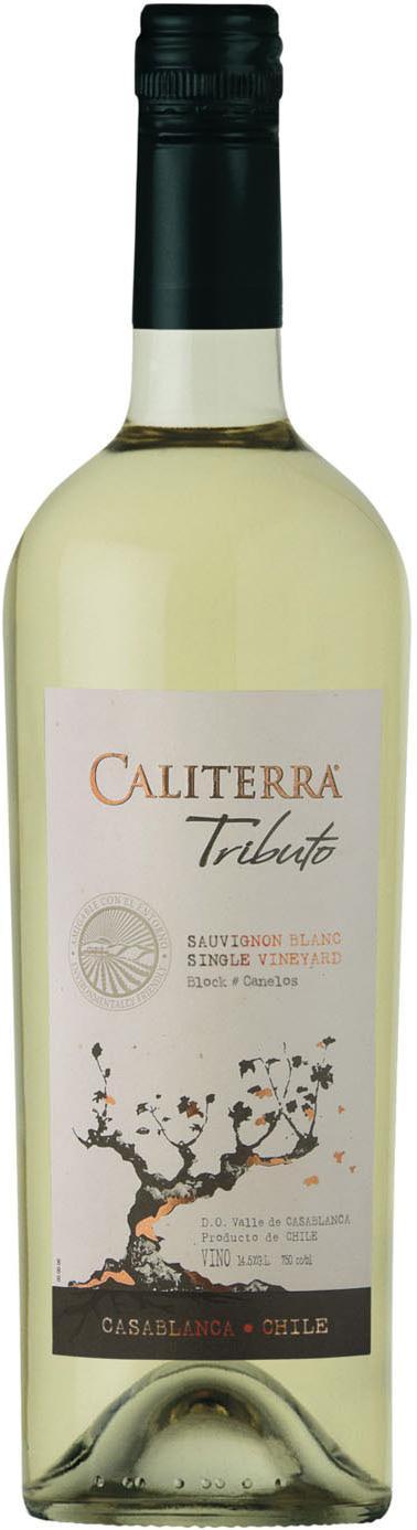 Вино Sauvignon Blanc "Tributo" DO, "Трибьюто" Совиньон Блан, 2012, 0.75 л