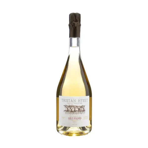 Шампанское Tristan Hyest Vallée BruLes 5 Vignes Brut Nature Champagne AOC 2010 750 мл