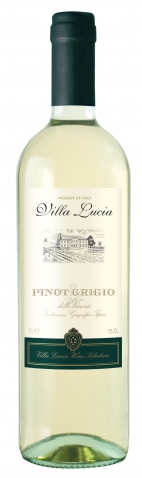 Вино Castellani Villa Lucia Pinot Grigio IGT Вилла Лючиа Пино Гриджио белое, сухое 2019г. 750 мл