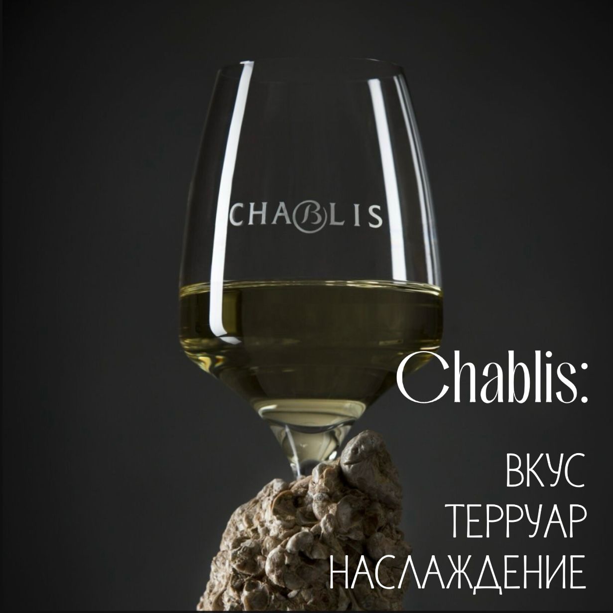 Chablis: вкус, терруар, наслаждение Chablis: вкус, терруар, наслаждение