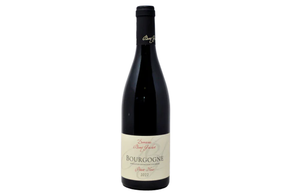 Вино  BOURGOGNE PINOT NOIR DOMAINE BONY GACHOT  2022  750 мл