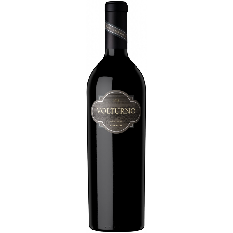 Вино Vina Cobos Volturno 2020 750 мл  14,5%