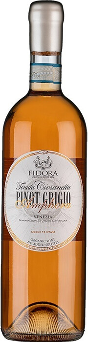 Вино   Fidora  Pinot Grigio Amphora, Venezia DOC   Фидора Пино Гриджио Амфора   750 мл  13 %