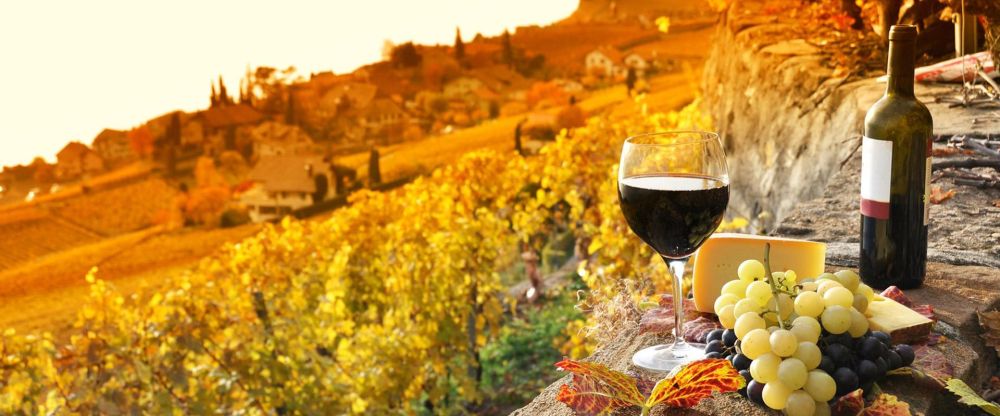 Осень для Vins Doux Naturels (Вен ду Натюрель)