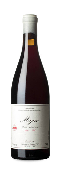 Вино Envinate Migan  2023 750 мл