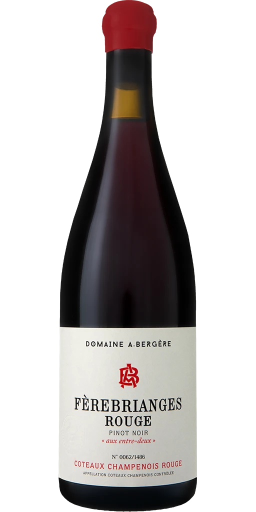 Шампанское A. Bergere Coteaux Champenois Ferebrianges Rouge  2022  750 мл