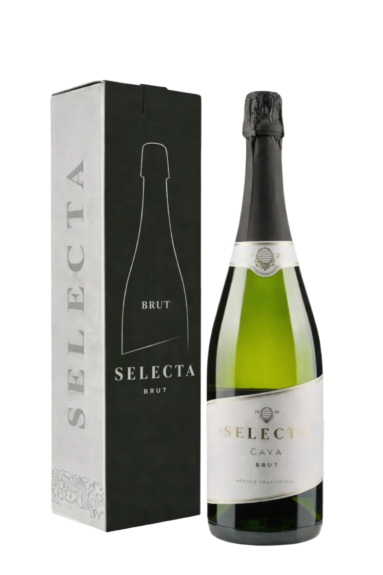 Игристое вино  Masachs Cava Selecta Brut  gift  box  2024 750 мл 11.5%