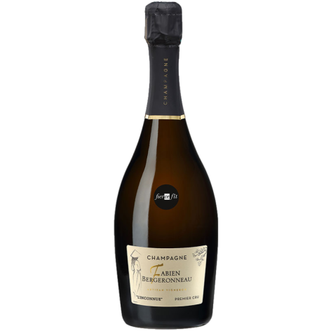 Шампанское FABIEN BERGERONNEAU L'Inconnue Blanc de Blancs Brut 2020 750 мл 12%