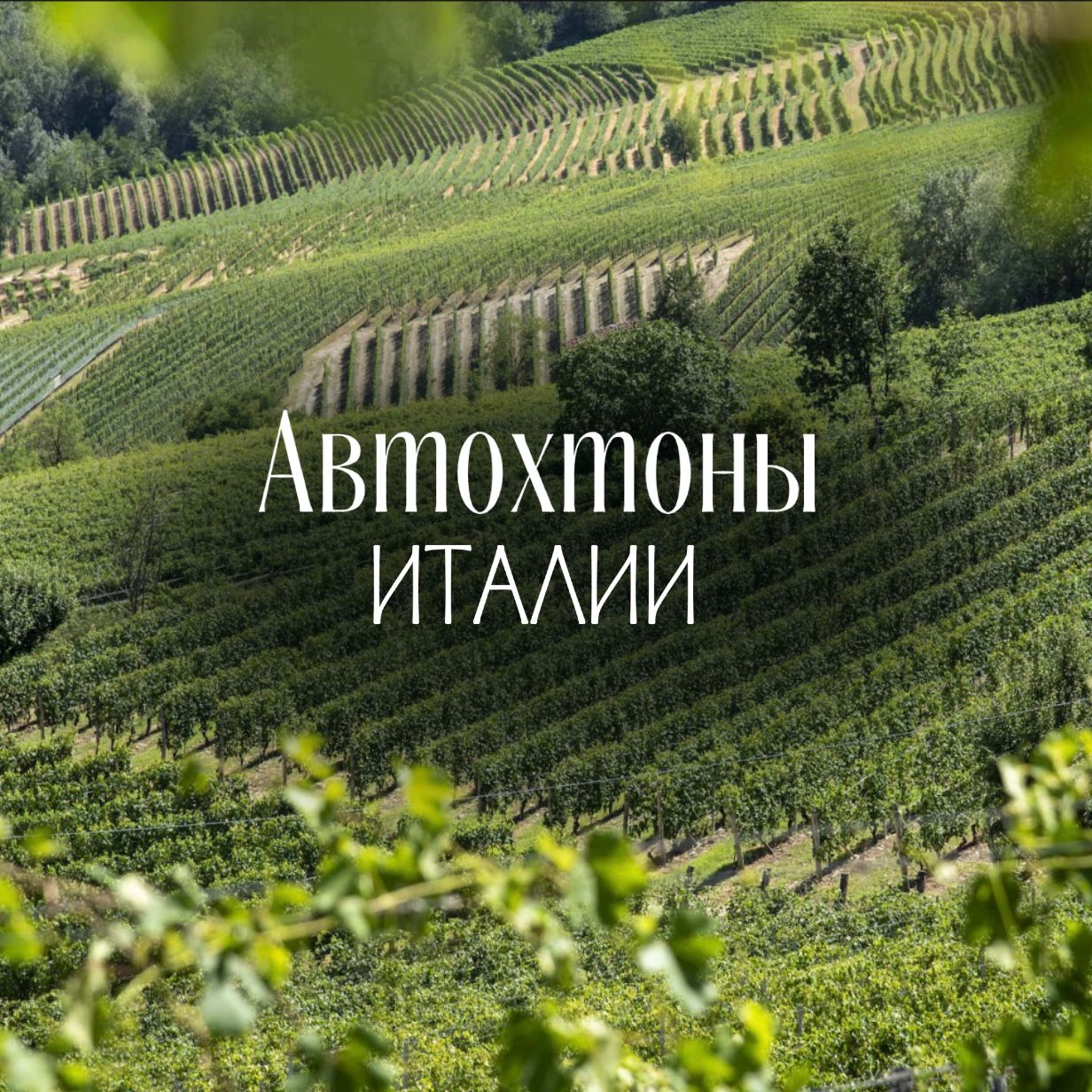Автохтоны Италии Автохтоны Италии