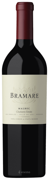 Вино Vina Cobos Bramare Chañares Estate Malbec 2017 750 мл