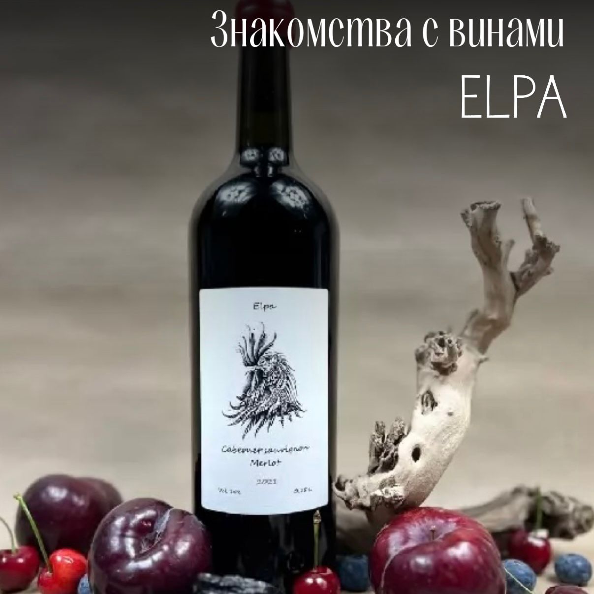 Знакомство с винами Elpa