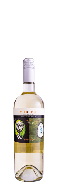 Вино Viejo Feo Sauvignon Blanc 2023 750 мл 12,5%