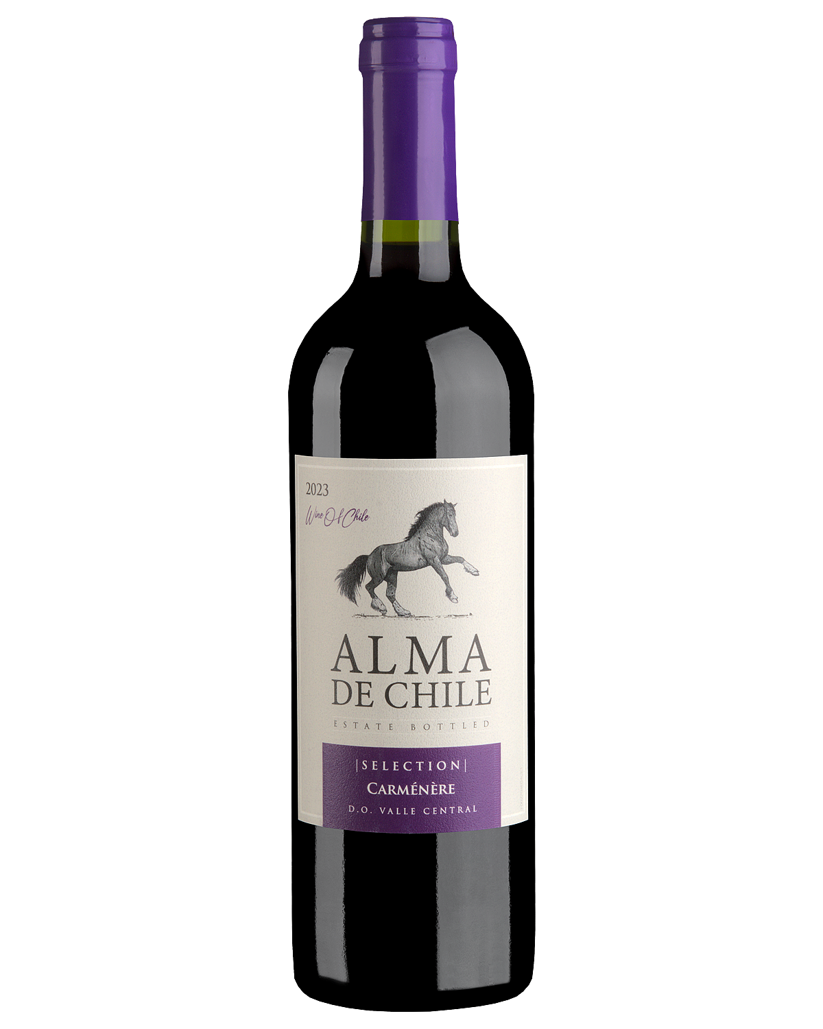 Вино Alma de Chile Carmenere  2023  750 мл