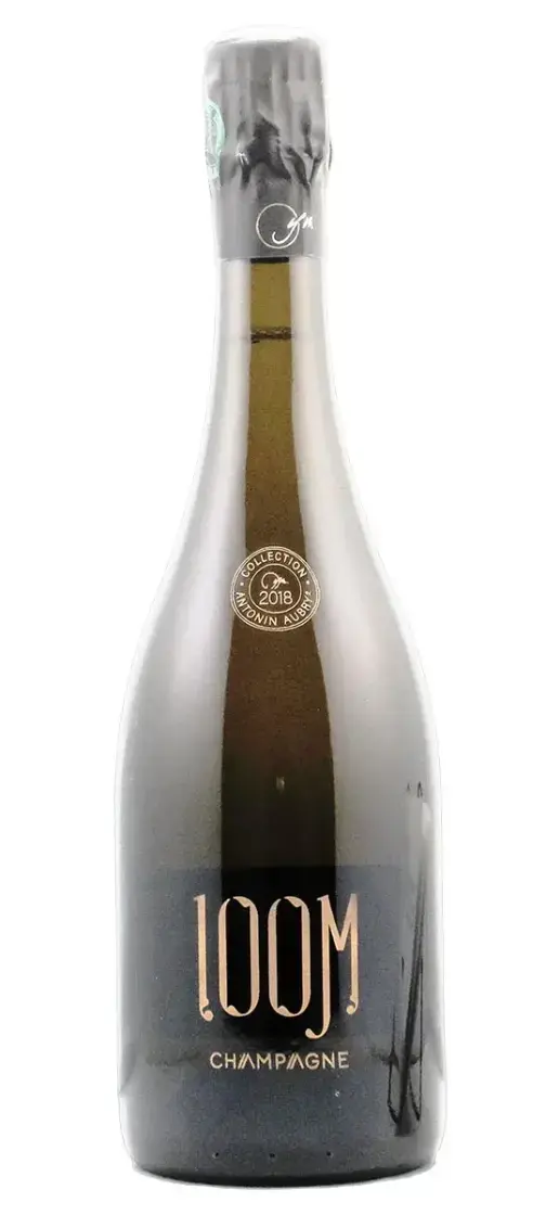 Шампанское Yvon Moussy 100M Brut Nature  2018  750 мл 