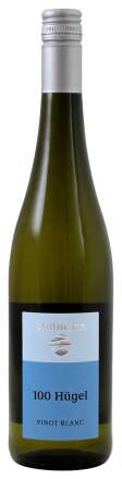 Вино  Rheinhessen Wittmann 100 Hugel Pinot Blabc trocken DQ  2022  750 мл  12%