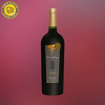 Вино Vitivinicola Cremaschi Barriga Tierra Del Fuego Haruwen Nebbiolo 2019 750 мл 14%