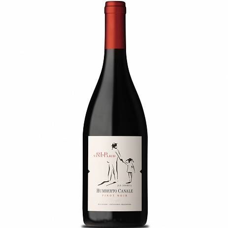 Вино Humberto Canale  Old Vineyard Pinot Noir 2022 750 мл  14 %
