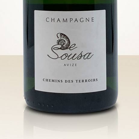 Шампанское De Sousa Chemins des Terroirs Brut    750 мл 
