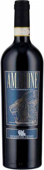 Вино Fidora Domini del Leone Amarone della Valpolicella 750 мл 16%