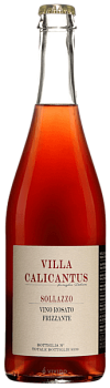 Игристое вино  Villa Calicantus Sollazzo Rosato Frizzante 2020   750 мл