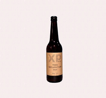Пиво ХР Hoppy && Blueberry && Sour /Икс Пи "Хоппи Черника Соур" 500 мл