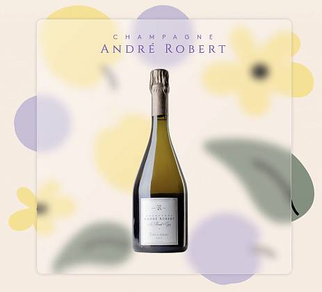 Шампанское Andre Robert Terre du Mesnil Grand Cru Blanc de Blancs  2013 750 мл