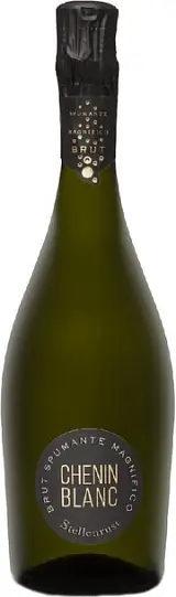 Игристое вино Stellenrust Chenin Blanc Sparkling Brut 2022 750 мл  11,5%