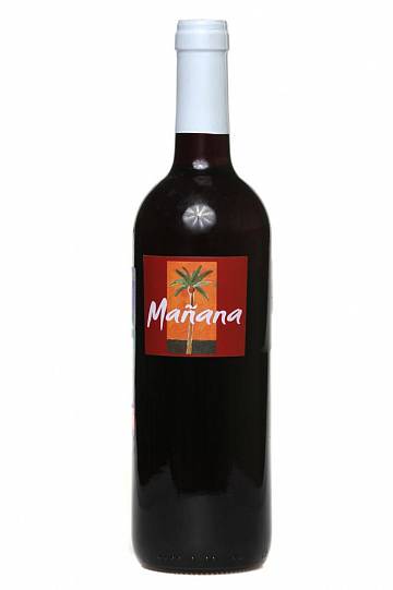 Вино Navarro Lopez Manyana Наварро Лопез Маньяна красное п