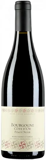 Вино  Marchand-Tawse, Bourgogne Cote d'Or Pinot Noir AOC, 2021  750 мл  13%