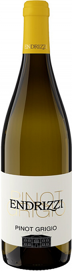 Вино Endrizzi Pinot Grigio Trentino DOC   750 мл 12,5%