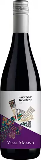 Вино Sartori Villa Molino  Pinot Noir, Trevenezie IGT 2020  750 мл  13%