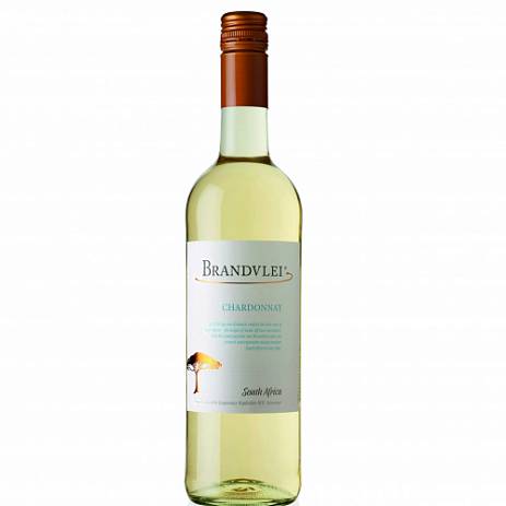 Вино Brandvlei Chardonnay 750 мл 13%