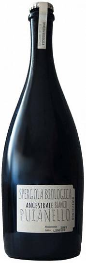 Игристое вино Puianello   Spergola Biologica  Ancestrale Bianco  750 мл