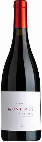 Вино Castelfeder Mont Mes Pinot Nero Vigneti delle Dolomiti IGT  2020 750 мл 13%