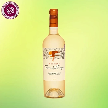 Вино Vitivinicola Cremaschi Barriga Tierra Del Fuego Reserva Sauvignon Blanc 750 мл 11%