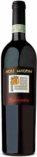 Вино More Maiorum DOCG Море Майорум ФианоДи Авеллино 2014 75