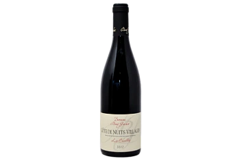 Вино COTES DE NUITS VILLAGES  LES CHAILLOTS  DOMAINE BONY GACHOT  2022  750 мл