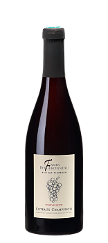 Шампанское FABIEN BERGERONNEAU Chevillevy Coteaux Champenois Rouge 2020 750 мл 12%
