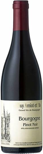Вино Domaine Guy Amiot et Fils Bourgogne Pinot Noir AOC  2021 750 мл 
