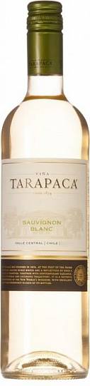 Вино Tarapaca Sauvignon Blanc Совиньон Блан 2018 750 мл