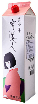 Сакэ BISHONEN CO  LTD  BISHŌNEN YOI BIJIN  2 л  13%